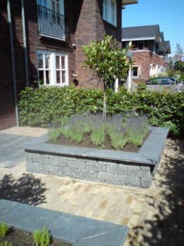 Afbeelding van Hoveniersbedrijf R A vd Lee BV
