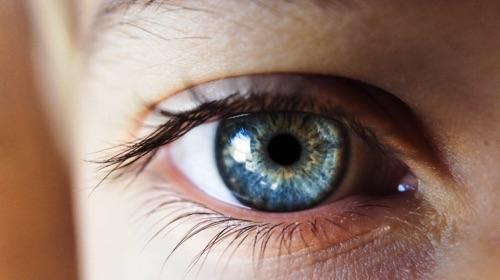 Image of Modern Vision Solutions