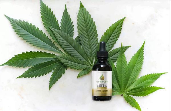 Image of Pure Lush Organics CBD