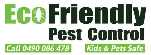Image of Pest Control City Beach and Termite Treatment City Beach