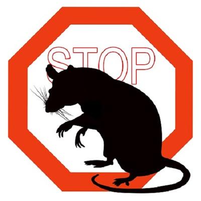 Image de Pest Control Markham Exterminator
