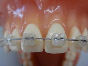 Image of Harmony Orthodontics