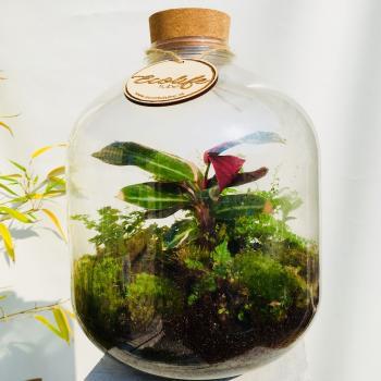 Afbeelding van Ecolifetube