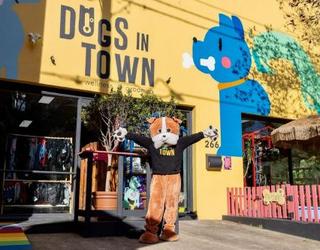 Image of Dogs in Town