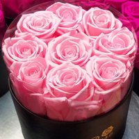 Imagem de Rosas Preservadas Ecuador La Rose Preserved
