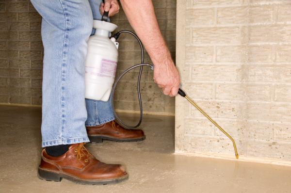 Image of Queen Creek Pest Control