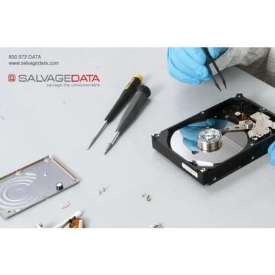 Image of SALVAGEDATA Recovery Services