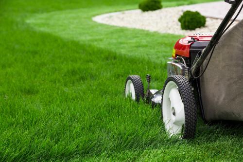 Image of Washington Tree And Lawn Care