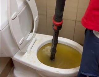 toilet ontstoppen