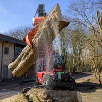 Oxleas Tree Care Ltd photo