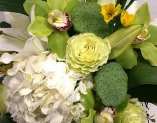 Image of Blooms on 9th