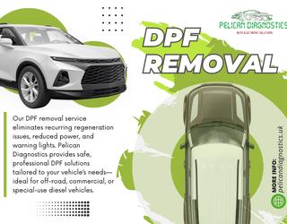 DPF Removal