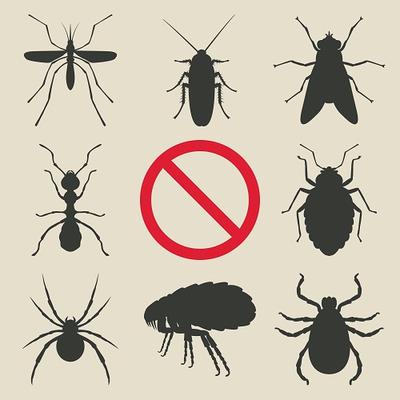 Image de Pest Control Markham Exterminator
