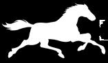 Image of Thoroughbred Sales