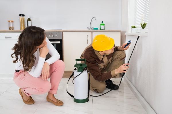 Image de Pest Control Markham Exterminator