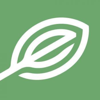 Image of Elevate Holistics Medical Marijuana Doctors