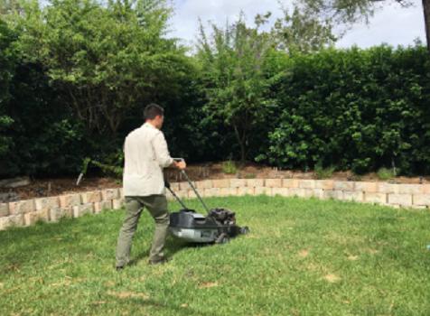 Image of MyLawnCare Ipswich