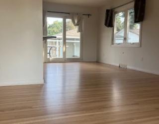 Image of Best Hardwood Floors