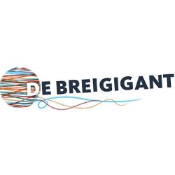 Afbeelding van De Breigigant