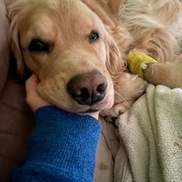 Image de Sunnyview Animal Care
