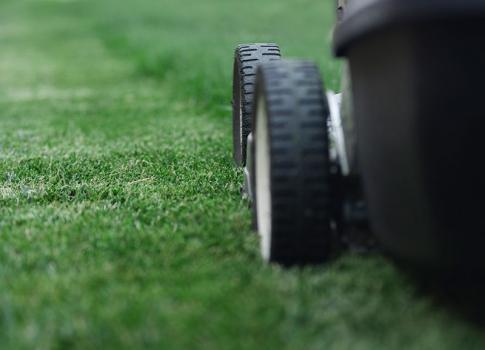 Image of George Self Lawn Service LLC