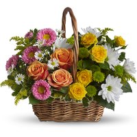 Afbeelding van Kaiflora