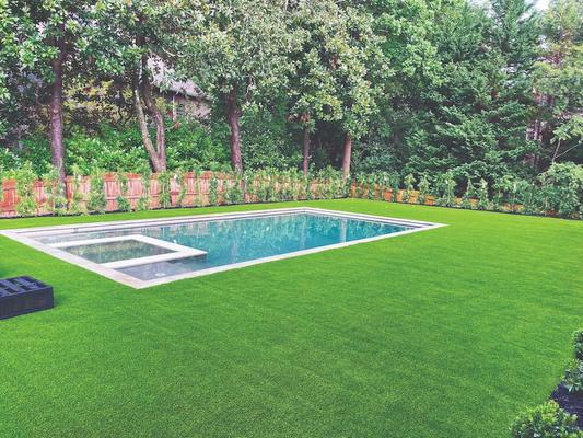 Image of Southern Turf Co. Phoenix ® Artificial Grass