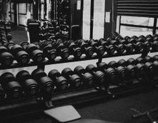 Image of Weight of the World Fitness