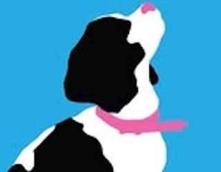 Image of Windy City Paws