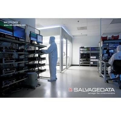 Image of SALVAGEDATA Recovery Services