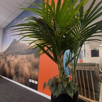 Image of Greenery Hire 