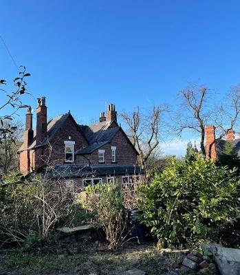 Image of New View Tree Services