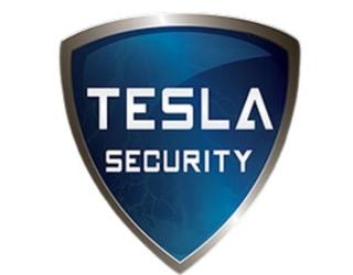 Image of Tesla Security