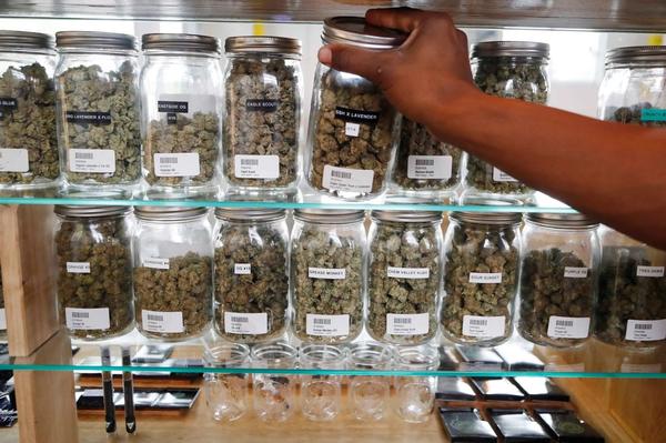 Image of Kush Express