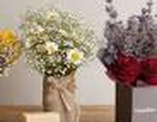 Imagem de Florista Gardenia Flowers braga