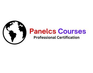 Image of panelcscourses