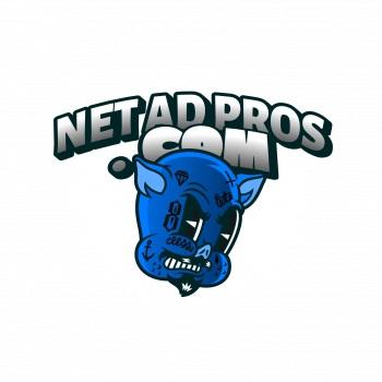 Image of Net Ad Pros