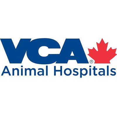 Image de VCA Canada Lexington Rd. Animal Hospital