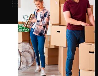 Image of Marin Movers