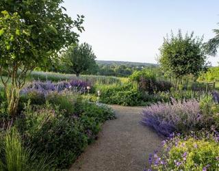 Image of We Love Plants Ltd
