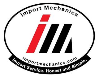 Image of The Import Mechanics