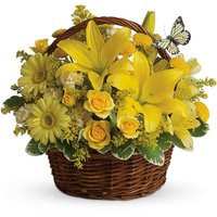Afbeelding van Kaiflora