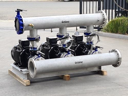 Image of Aline Pumps Tingalpa