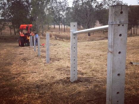 Cane Contracting