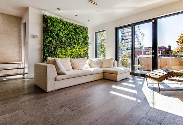 Image of Dominion Rug & Home