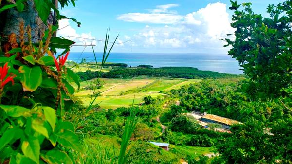 Imagen de Wendy Roatan Realty & Associates
