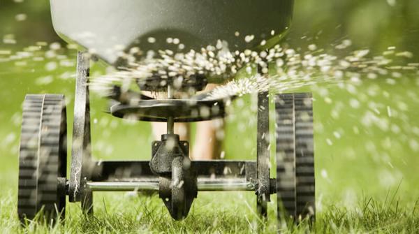 Image of Expert Lawn