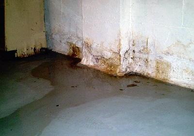 Mold