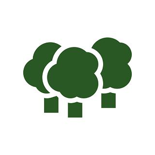 Image of CarbonForest