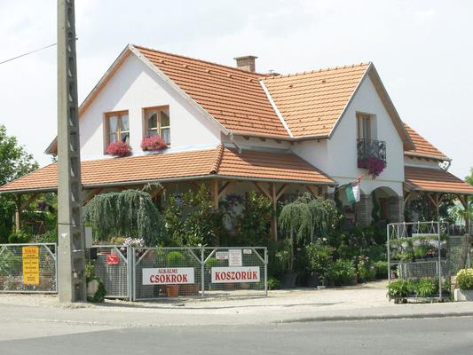 Sarkadi és Társa Bt. képe